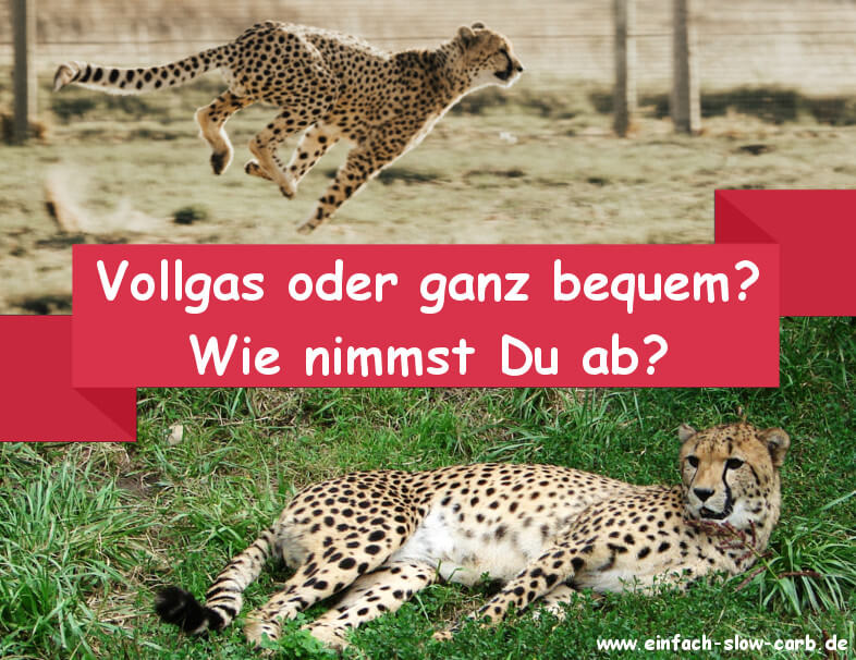 Vollgas Oder Ganz Bequem Wie Nimmt Man Ab Einfachslowcarb